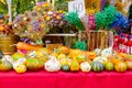 Selling colorful dried flowers and pumpkins with written messages on stand at the fair, street market