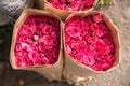 Selling flowers - A bouquet of red / pink roses wrapped in paper Royalty Free Stock Photo