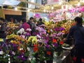 Selling flowers during Chinese Lunar New Year