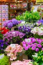 Selling of flowers at famous flower market in Amsterdam, North Holland, Netherlands Royalty Free Stock Photo