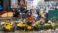 Selling flowers on lunar new year-Tet Holiday