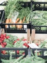Selling fresh organic vegetables at the local farmers market Royalty Free Stock Photo