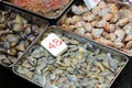 Selling fresh seafood, trays with various shells - Manila, Surf Clams, Ocean Quahogs, close up.