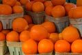 Selling Navel Oranges Royalty Free Stock Photo