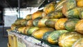 Selling papaya fruits in Asian markets. Import papaya to the whole world