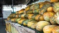 Selling papaya fruits in Asian markets. Import papaya to the whole world
