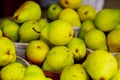 selling pears in baskets at the farmer& x27;s market Royalty Free Stock Photo