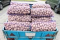 Selling potatoes in mesh bags at a farmer\'s market from a trailer. Autumn sale of vegetables