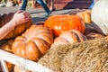 Selling pumpkins from a cart at the fair Royalty Free Stock Photo