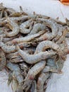 Selling raw shrimp in a supermarket. Fresh raw shrimps at the fish marke Royalty Free Stock Photo