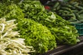 Selling various types of lettuces and green salads in a street food market