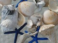 She sells sea shells Royalty Free Stock Photo