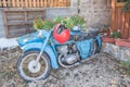 Blue Russian motorcycle, Soviet motorcycle Izh Jupiter with helmet, filled with blooming flowers decoration