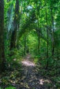 Selva Lacandona Mexico