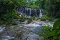 Selva Lacandona Mexico Royalty Free Stock Photo