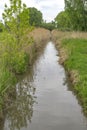 Selz creek covered with reed. Ingelheim Rhinehesse, Germany