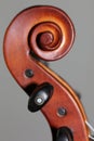 Wooden violin head in brown color Royalty Free Stock Photo