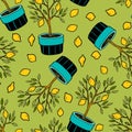 Semaless pattern with lemon tree and lemons. Royalty Free Stock Photo