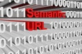 Semantic URL