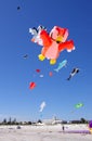 Semaphore Kite Festival Royalty Free Stock Photo