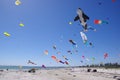 Semaphore Kite Festival Royalty Free Stock Photo