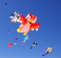 Semaphore Kite Festival Royalty Free Stock Photo