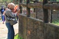 Semarang, December 2022. A female visitor is engrossed in taking pictures at the zoo