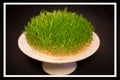 Semeni grass as novruz holiday icon
