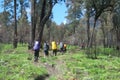 Semeru mountain climbing