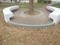 Semi-circular seating under a tree in a city park