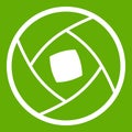 Semi-closed lens icon green