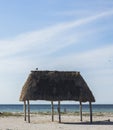 Semi-virgin beach located in San felipe Yucatan