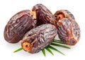 Semi-dried dates or date palm fruits lie on palm leaves isolated on white background. File contains clipping path
