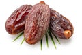 Semi-dried dates or date palm fruits lie on palm leaves isolated on white background. File contains clipping path
