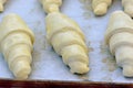 Semi-finished croissants before sending into the furnace