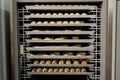 Semi-finished pastries in refrigerator Royalty Free Stock Photo