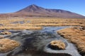 Semi frozen lakes in Eduardo Avaroa Reserve