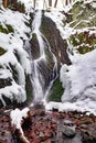 Semi-frozen waterfall in forest. Mild winter