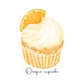 semi realistic homemade orange favour cupcake sweet watercolour illustration vector banner isolated on white background