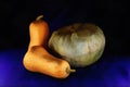 Semi Realistic Vegetable Painting