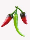 Semi ripe red and crunchy green chili isolated in white background