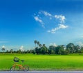 Semi silhouette of green paddy rice field with the bicycle, the beautiful sky, and cloud in the evening in Thailand Royalty Free Stock Photo