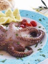 Boiled octopus in a plate Royalty Free Stock Photo