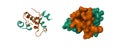 Semi-synthetic highly active analogue of human insulin D-ProB26-DTI- NH2