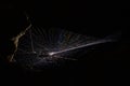 A semi-transparent spider in the middle of a spider net built over a light Royalty Free Stock Photo