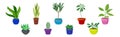 Semi-tropical Houseplant Growing in Potting Soil in Ceramic Flowerpot Vector Set