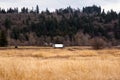 Semi truck on the road between the yellow grass and green hill Royalty Free Stock Photo