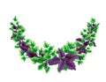 Semicircle wreath of parsley and basil branches