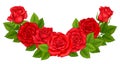 Semicircular Composition of Red Roses