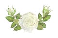 Semicircular composition of white roses and buds with leaves. Watercolor illustration. Isolated on a white background